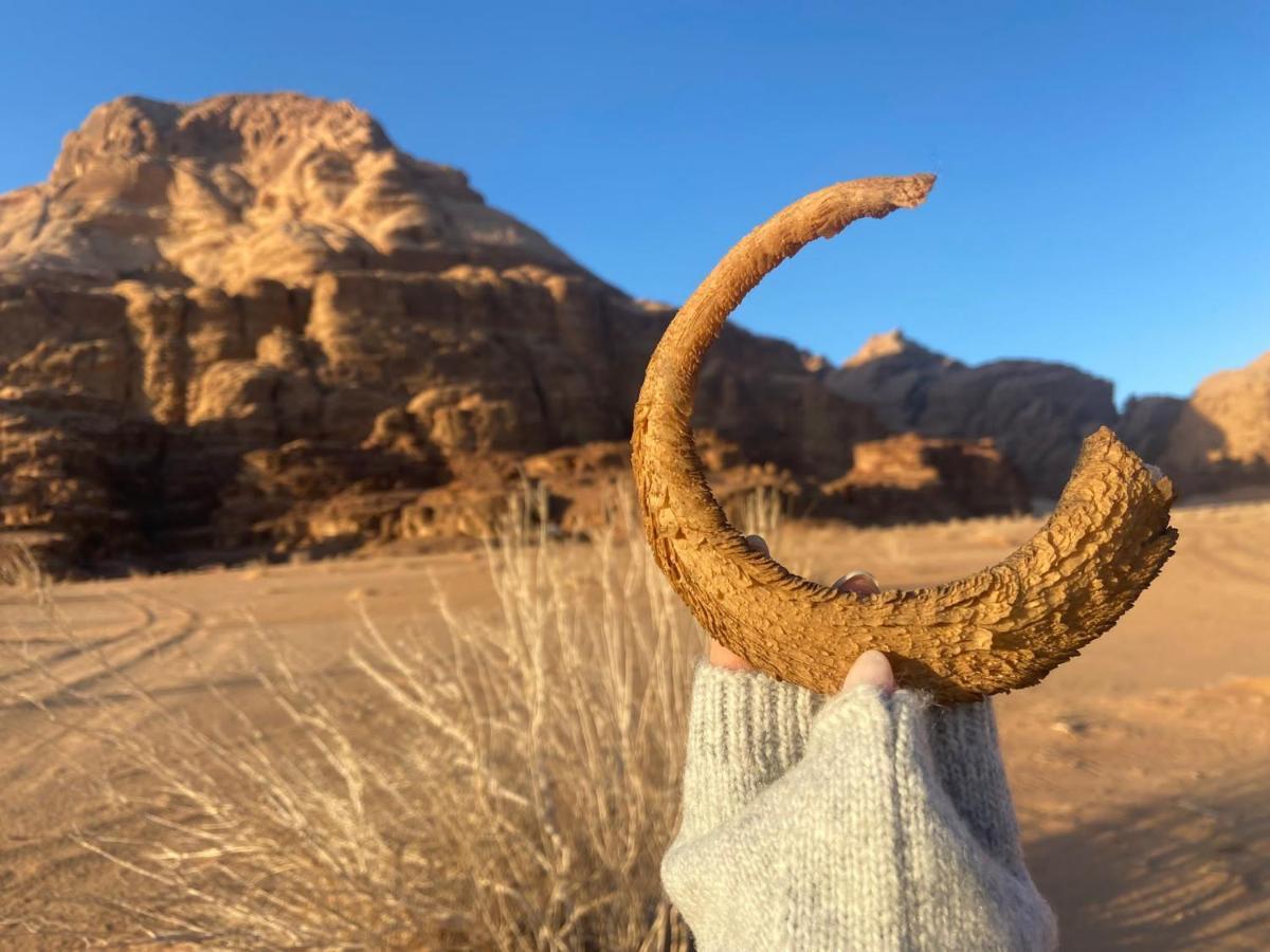 Wadi Rum Albasli Esterno foto