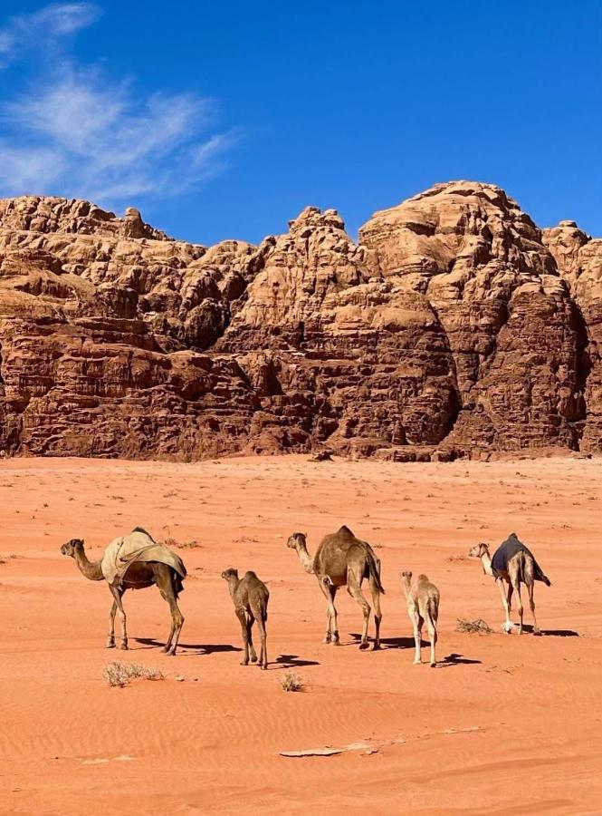 Wadi Rum Albasli Esterno foto