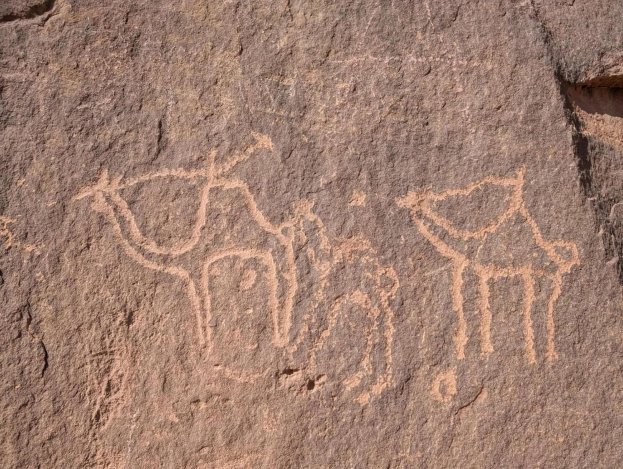 Wadi Rum Albasli Esterno foto
