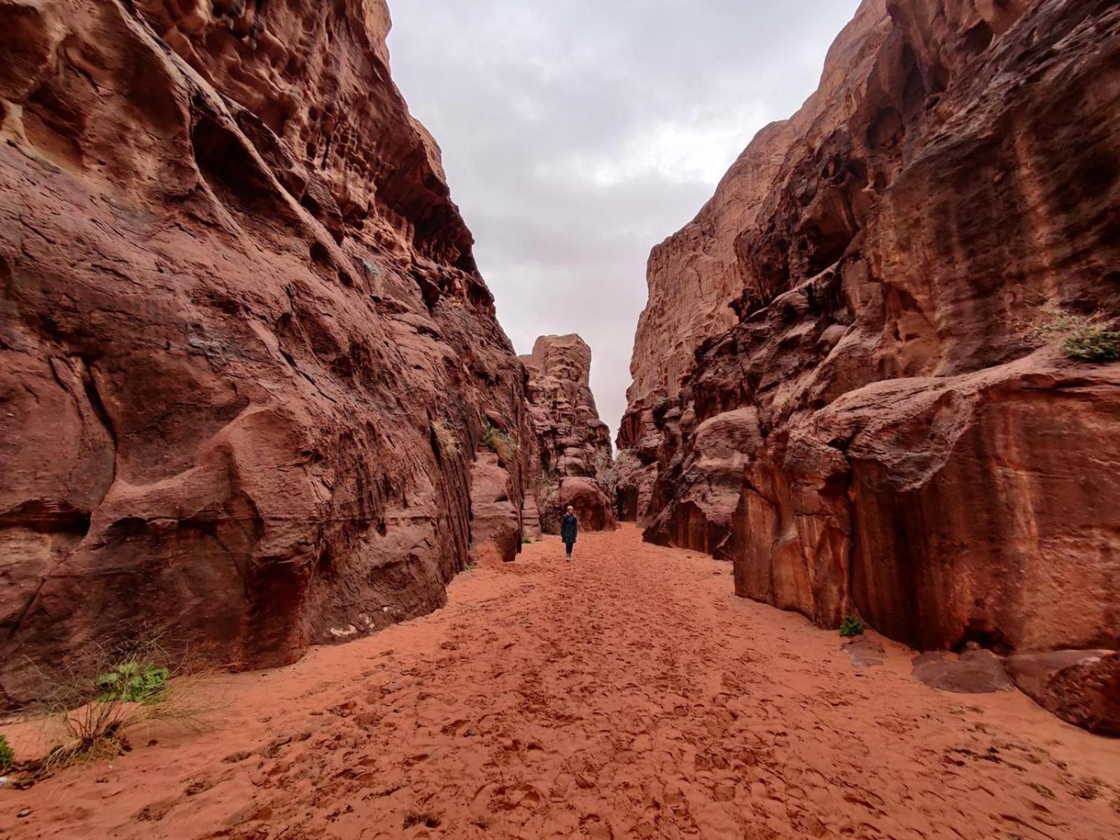 Wadi Rum Albasli Esterno foto